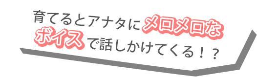育てるとアナタにメロメロなボイスで話しかけてくる！？