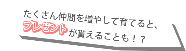 沢山仲間を増やして育てると、プレゼントが貰えることも！？