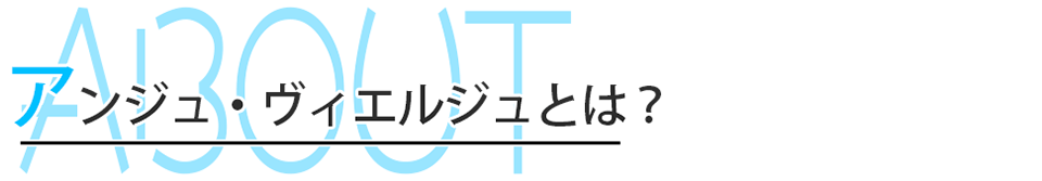 アンジュ・ヴィエルジュとは？