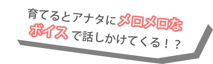 育てるとアナタにメロメロなボイスで話しかけてくる！？