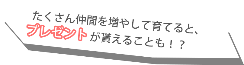 沢山仲間を増やして育てると、プレゼントが貰えることも！？